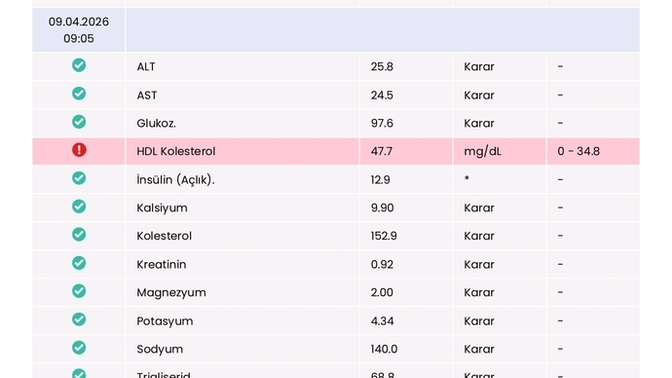 En son ne zaman kan tahlilli verdinizz?