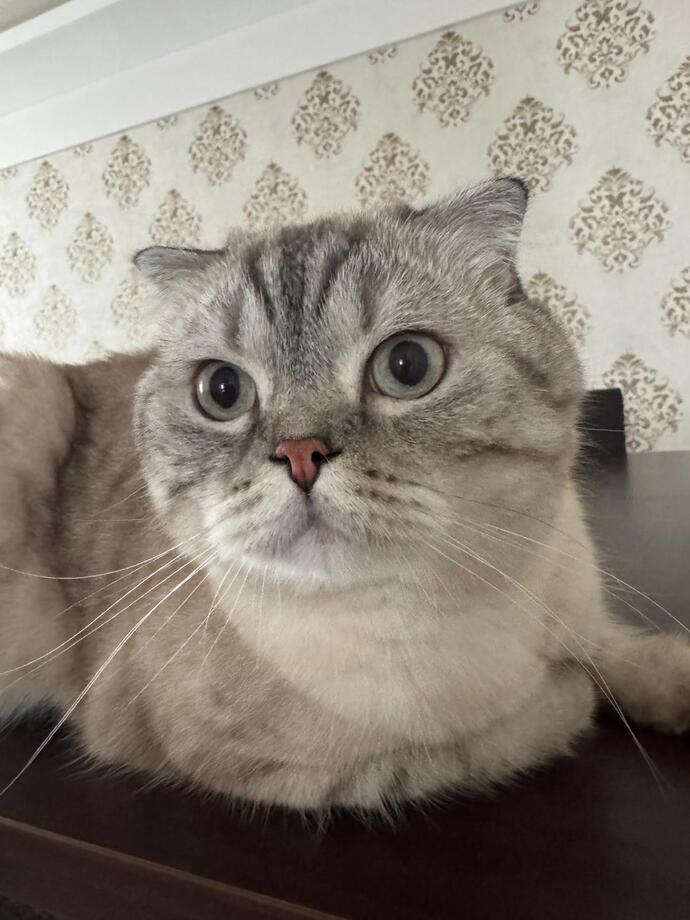 Kusumun adını ne koyayım klasik şeyler söylemeyin güzel olsun?