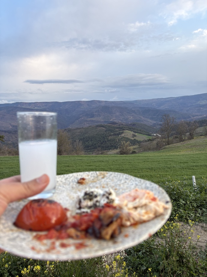 Şarap mı rakı mı?