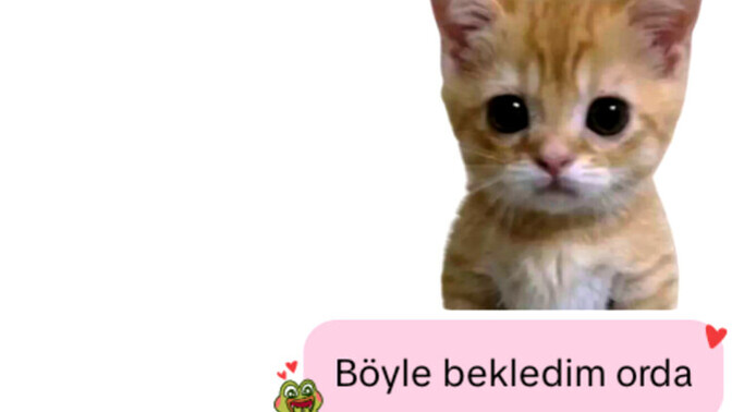 Kalabalıkta unutulmak mı, yoksa bekletilmek mi daha kötü?