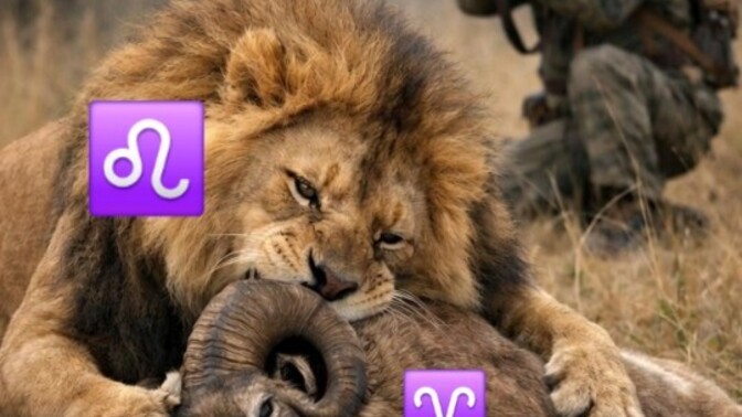 Aslan koçu avlar, Yay 🏹♐️ ikisini ♈️♌️ de avlar. Hala anlamadınız mı?