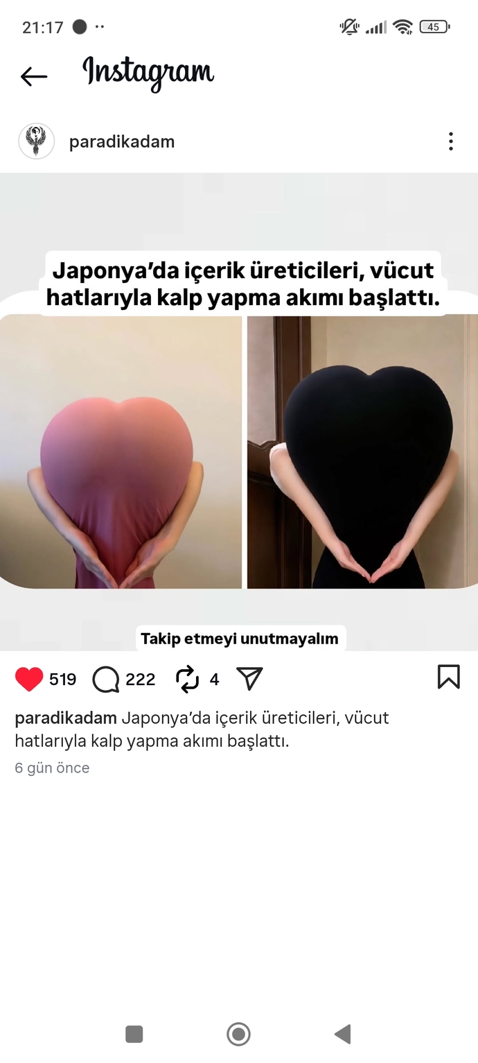Japonya Vücut hatları ile kalp yapma akımı hakkında düşünceleriniz nedir?