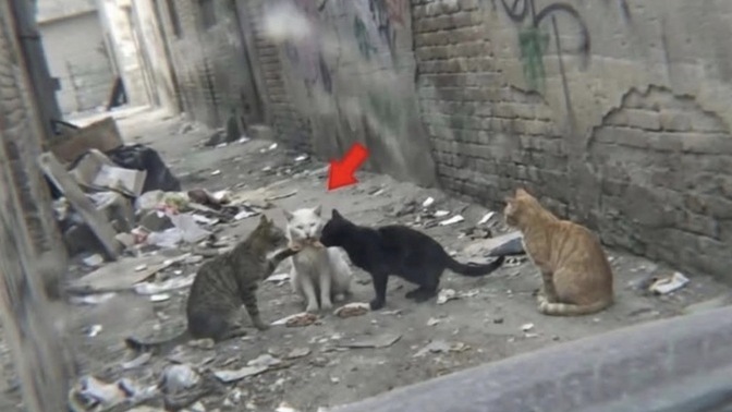 Fotoğraf çok güzel değil mi?