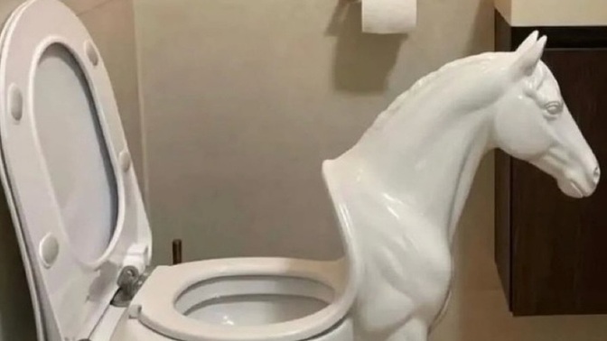 Böyle bir klozet tasarımınız olsun ister miydiniz?