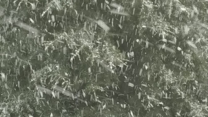 Sizin oraya da kar yağmaya başladı mı, kar durumu ne alemde?