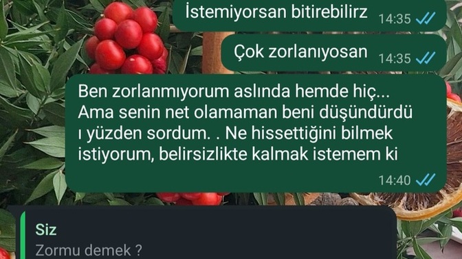Uzak mesafe ilişkisinde erkeğin sevip sevmediği nasıl anlaşılır bu mesajlardan mesela?