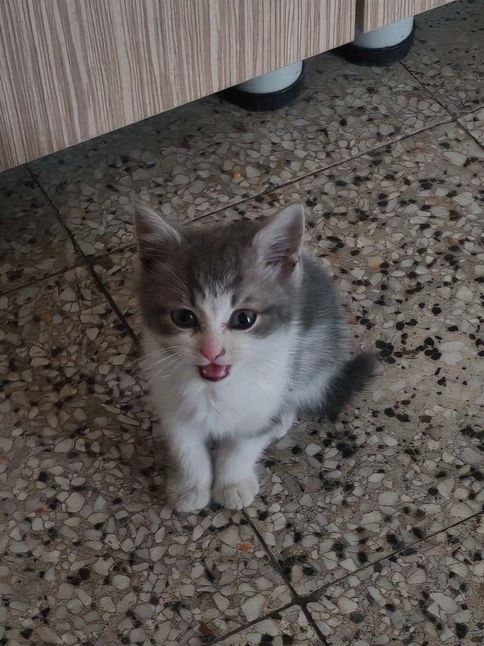 Bu bakış sence bir şey söylüyor mu, yoksa sadece doğru kişiyi mi seçiyor?