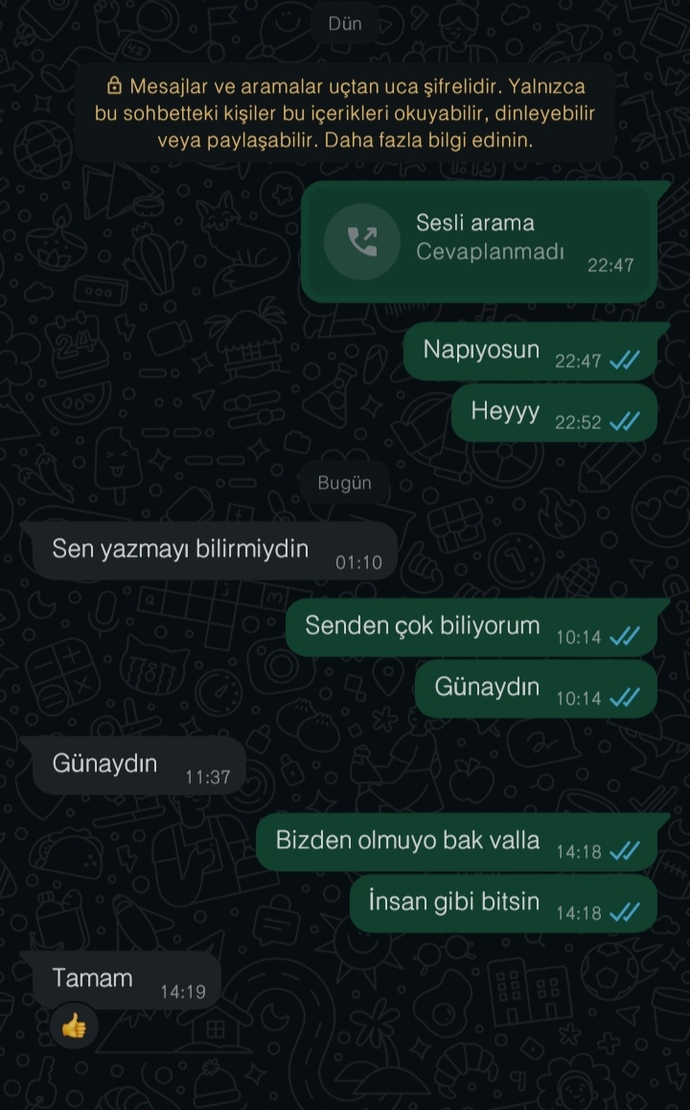 Böyle bitirenlerfenmisiniz yoksa beddua küfürlu faln mı 😄?(Sorun anlasamamak )?