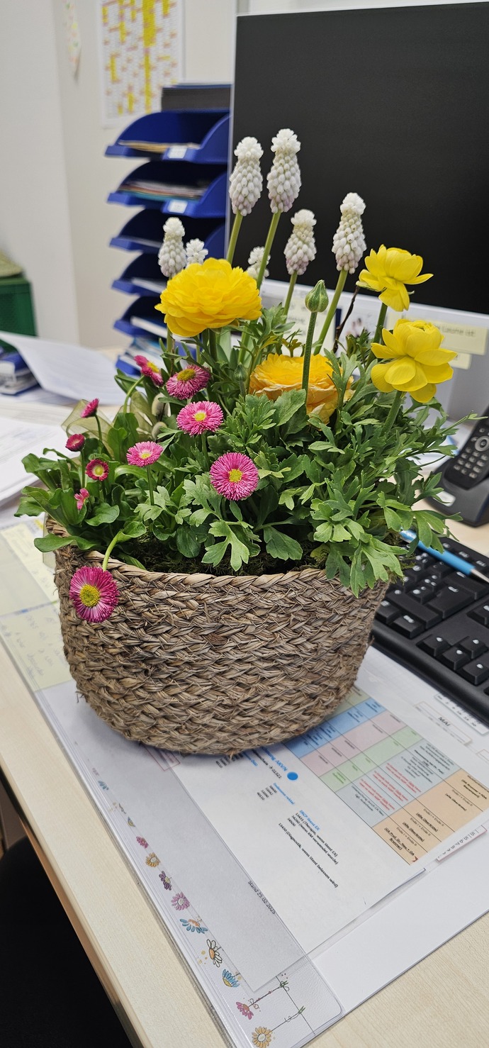 En son ne zaman birine çiçek aldınız ya da size alındı 💐🌺🌸?