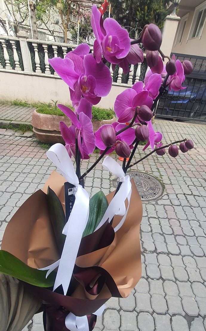 En son ne zaman birine çiçek aldınız ya da size alındı 💐🌺🌸?
