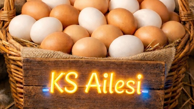 Yumurta sepetinde 50 tane yumurta var 5+1 çıktı kaç kaldı?