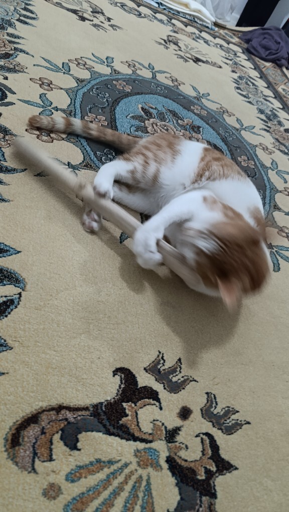 Nabersinizzz bakalım?