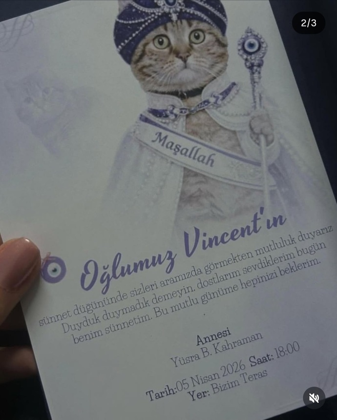 Yakın bir arkadaşınız sizi kedisinin sünnet düğününe çağırsa gider misiniz 🐈? Giderseniz ne asarsınız 😅🤣?