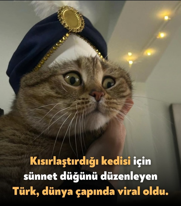 Yakın bir arkadaşınız sizi kedisinin sünnet düğününe çağırsa gider misiniz 🐈? Giderseniz ne asarsınız 😅🤣?