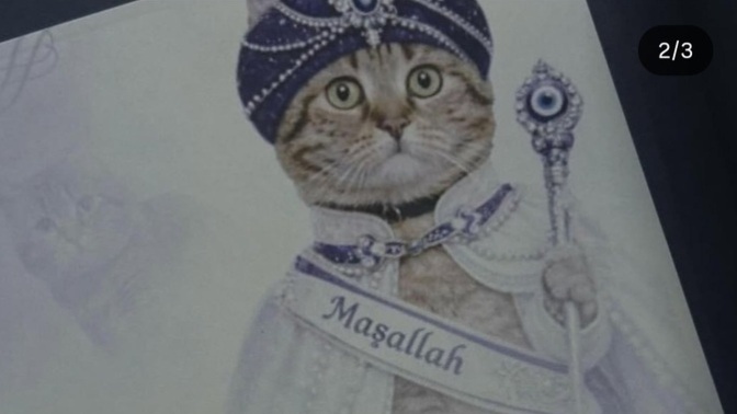 Yakın bir arkadaşınız sizi kedisinin sünnet düğününe çağırsa gider misiniz 🐈? Giderseniz ne asarsınız 😅🤣?