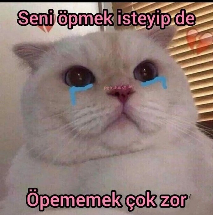 Öpmek istediğiniz bir şey var mı?