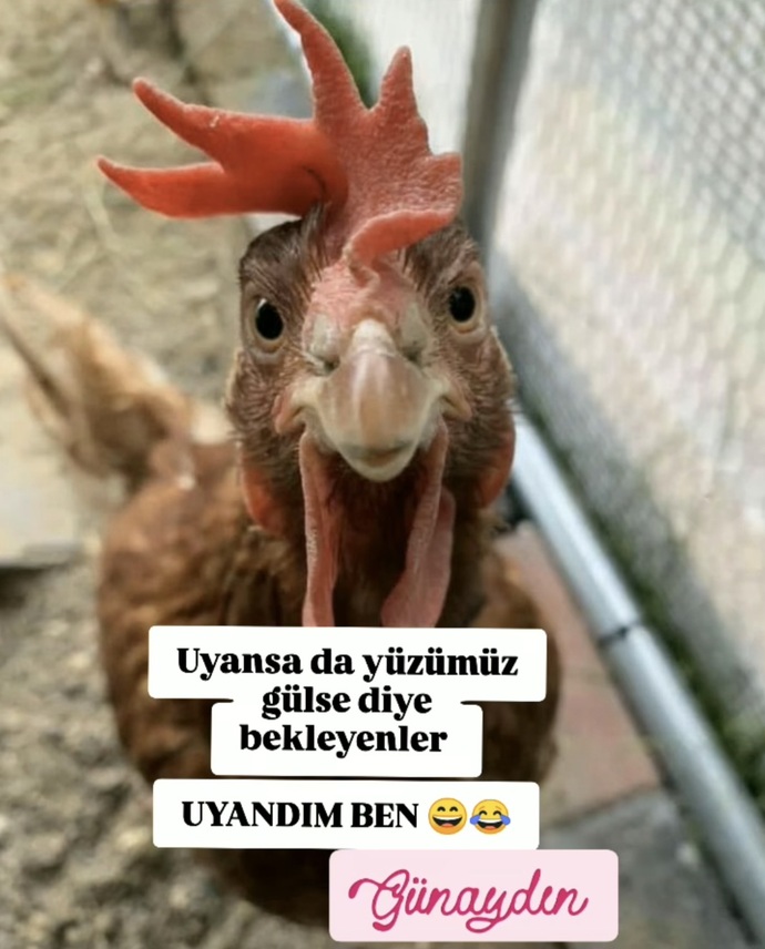 Yüzünüzü güldürmesi için uyanmasını beklediğiniz biri var mı?