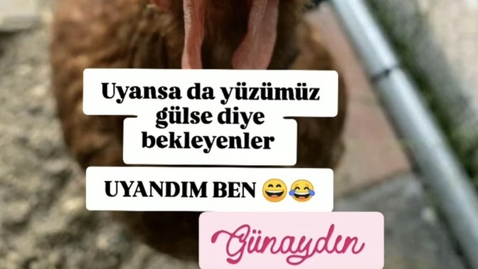 Yüzünüzü güldürmesi için uyanmasını beklediğiniz biri var mı?