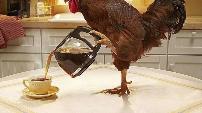 Sebebsiz yere erken kalkmak sizi mutlu mu eder, huzursuz mu?