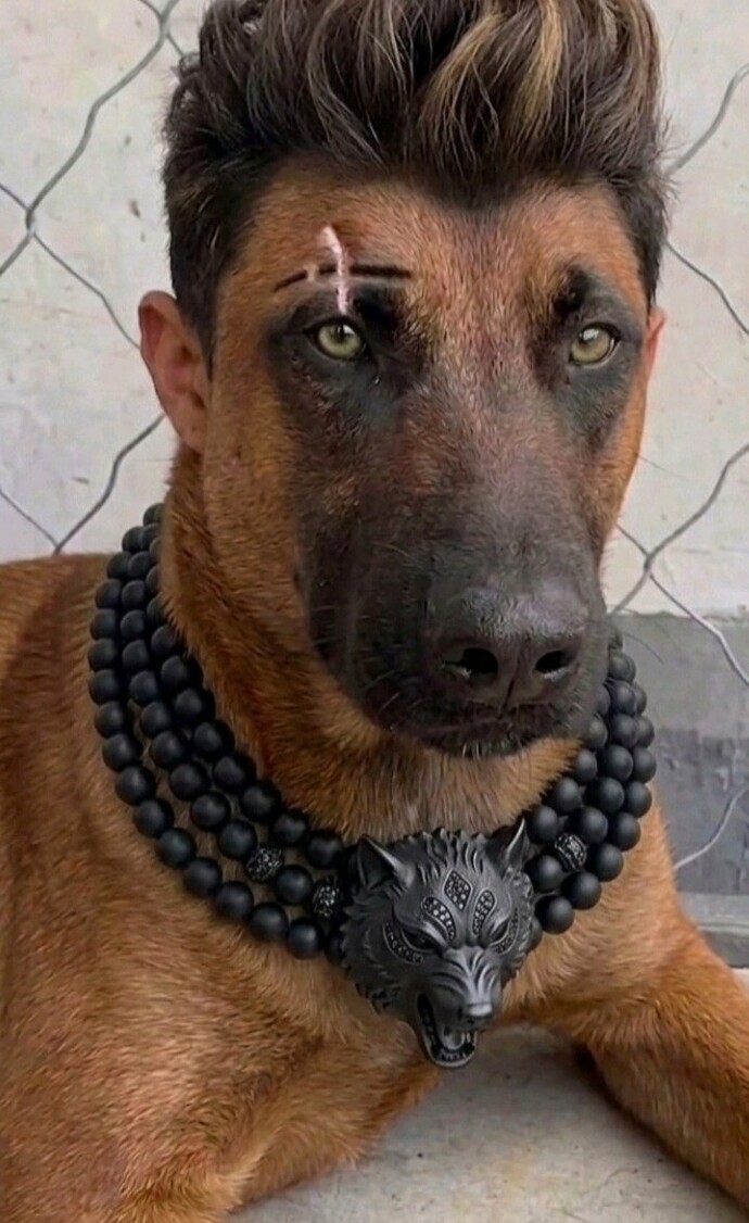 Dürüst Olun Hangimiz Daha Yakışıklı?