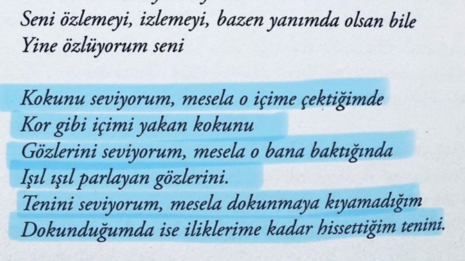 O’nun nesini seviyorsun?