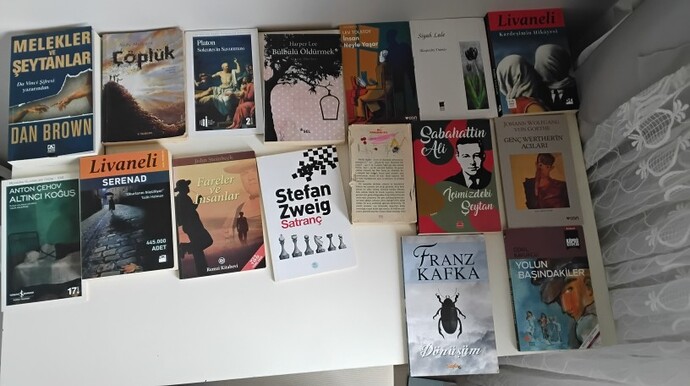 Okuduğum kitaplara bakınca sizce kitap zevkim gerçekten iyi mi, dürüstçe söyler misiniz?