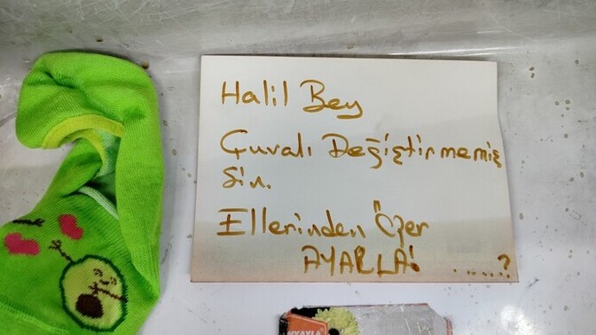 En son değiştirdiğin şey nedir?