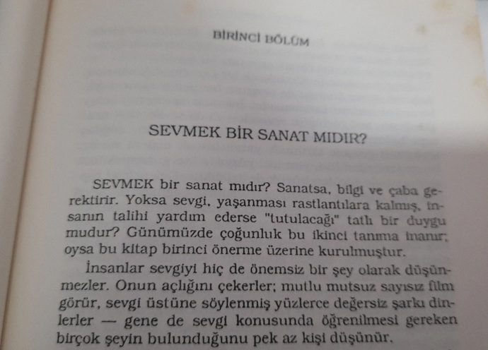 Sevmek bir sanat mıdır?