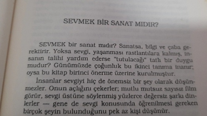 Sevmek bir sanat mıdır?