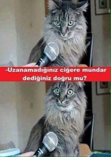 Karşı cins için bir hayal misin yoksa kolay lokma mı?