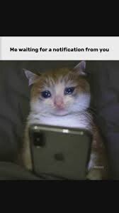 WhatsAppta Görüldü mü daha kötü, yoksa 3 gün sonra dönmek mi 💬🔥?