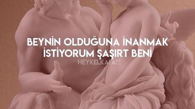 Hangi özelliğin karşı cinsi etkiler?