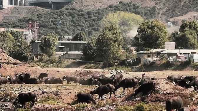 Arkadaşlarınızı ailenizle tanıştırıyor musunuz?