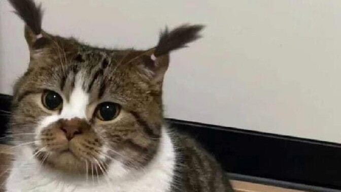 Sıkıntıdan ağlayacak kadar bunaldığınız oldu mu, siz nasıl başa çıkıyorsunuz?
