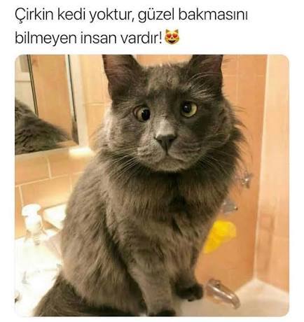Gece iştimasi alınıyor nerdesiniz?