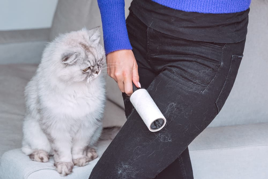 Buluşmaya üzerinde kedi tüyleri olan kıyafetle gelen karşı cins sevimsiz midir?