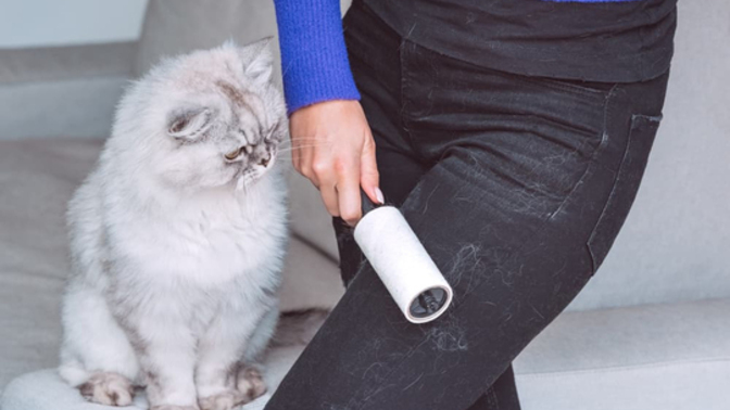 Buluşmaya üzerinde kedi tüyleri olan kıyafetle gelen karşı cins sevimsiz midir?