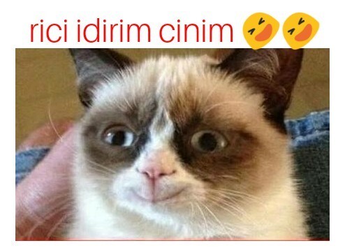 Hangi kedi olduğunu söyleyem mi?
