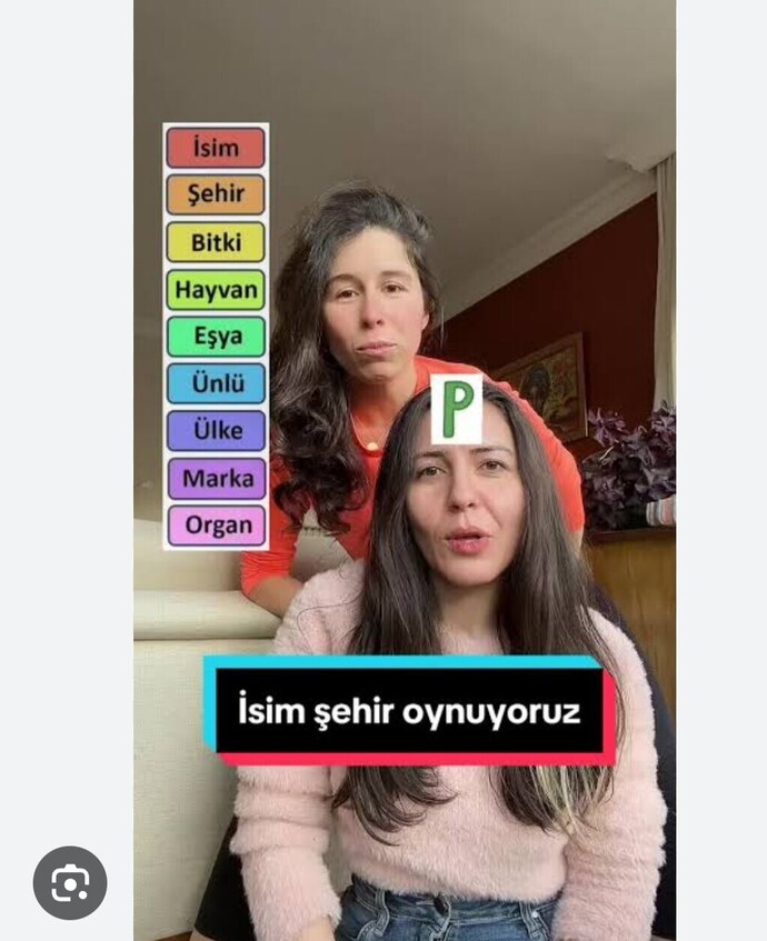 Evcil Hayvan