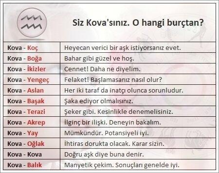 Kova burcu gerçekten kiminle uyumlu her kafadan bir ses çıkıyor 😒 burç uyumuna inanan var mı?