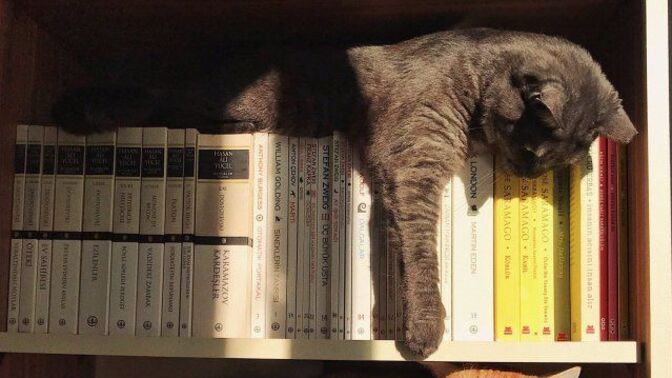 Kitap okumak bir insanı kültürlü yapar mı?