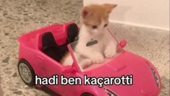 Güzel profilli kızların Xperi az olsa da fenomeni moderatörü soruya koşuyor, ama profili orta olan kıza neden hiç cevap gelmiyor?