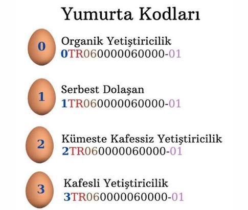 Yumurta alırken 0,1,2,3 kodlarına dikkat ediyor musunuz, özellikle 3 kodlu KAFES tavuğu yumurtasını alıyor musunuz?