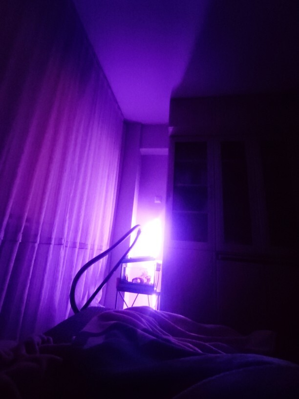 Bugünün sorularını yarın sorsam olur mu çok uykum var da?
