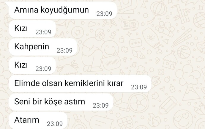 Sevgiliden gelen sürekli hakaret ve küfre katlanmalı mıyım yoksa direkt bitirmeli miyim?