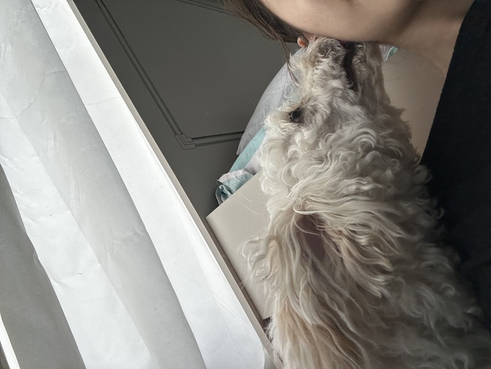 Köpekler neden insanların yüzünü yalar?