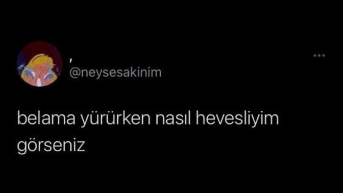 Hiç başınıza bela aldınız mı?