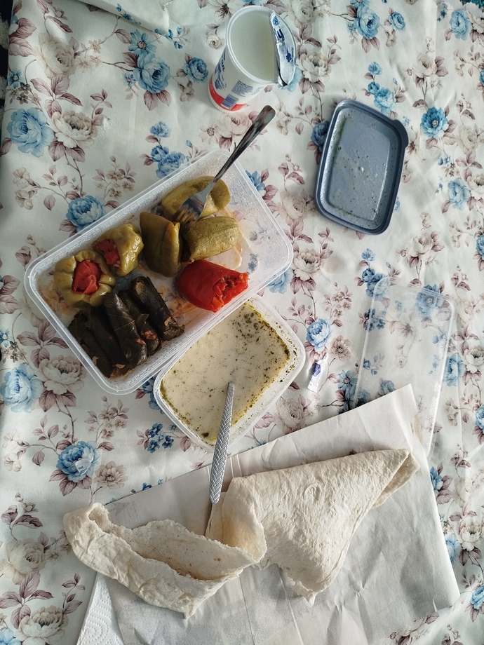 Ev li sevgilim yemekler yapıp getiriyor nasıl güzel olmuş mu?