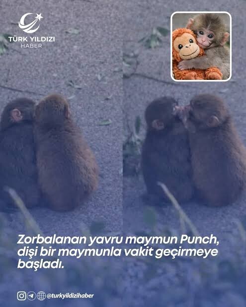 Herkesin aşkısı var sizin neden yok?