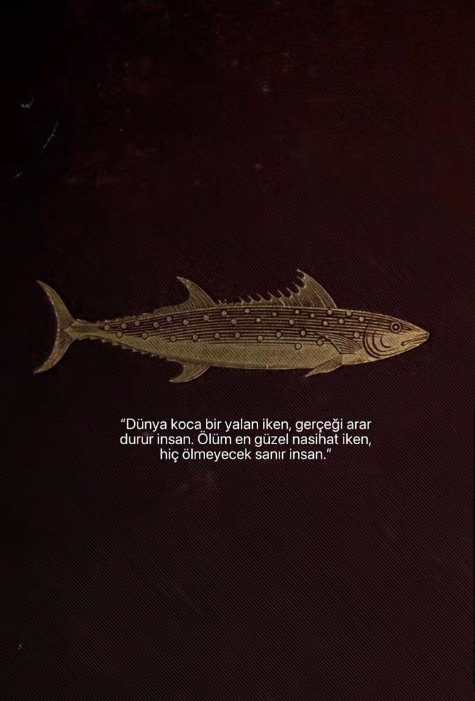 Hayattaki amacınızı sorguladınız mı hiç?